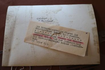 Preview: Pressefoto Ritterkreuzträger Oberst der Schutzpolizei Griese in Marseille